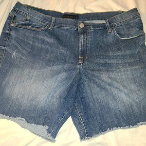 Rock and republic long shorts